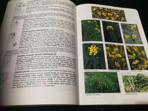 A FIELD GUIDE TO WILD FLOWERS KWAZULU NATAL and the Eastern Region by ELSA POOLEY  wildflowers