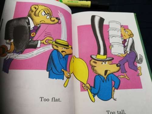 OLD HAT NEW HAT by STAN and JAN BERENSTAIN Hardcover 1985