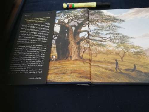 THE REMARKABLE BAOBAB THOMAS PAKENHAM ( trees )