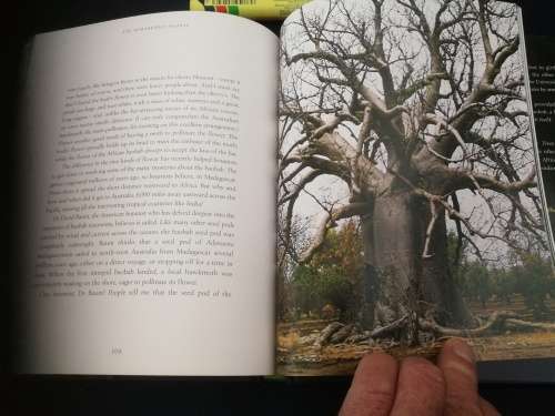 THE REMARKABLE BAOBAB THOMAS PAKENHAM ( trees )