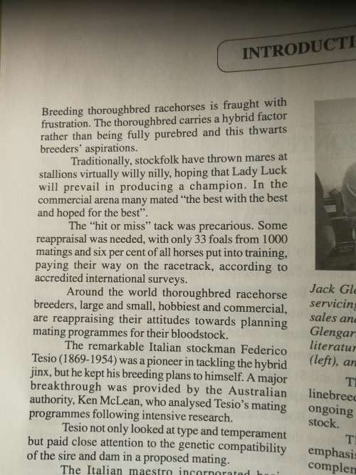 UPGRADING THOROUGHBRED FAMILIES JACK GLENGARRY Using the guidelines by Frederico Tesio Horses