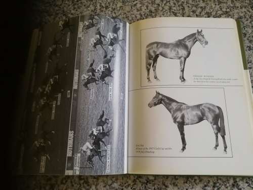 THROUGH MY BINOCULARS ERNIE DUFFIELD ( Horse Racing )