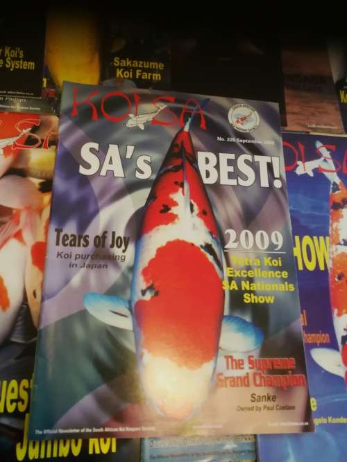 22 X KOI SA South African Koi Keepers Society magazines ( fish )