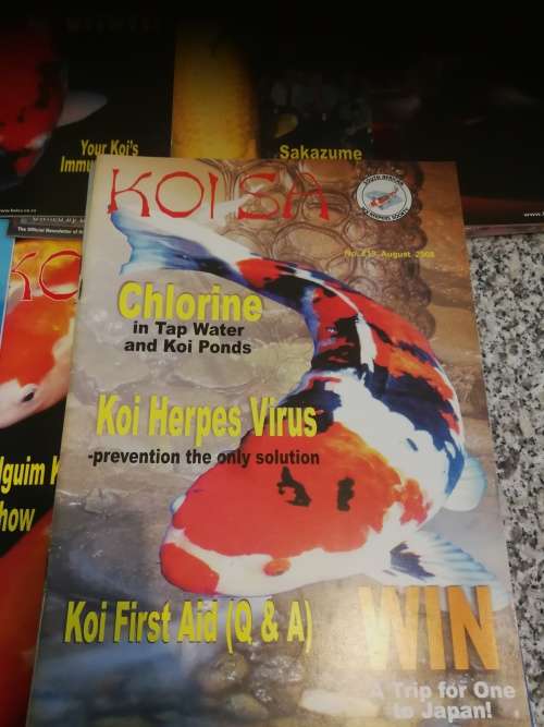 22 X KOI SA South African Koi Keepers Society magazines ( fish )