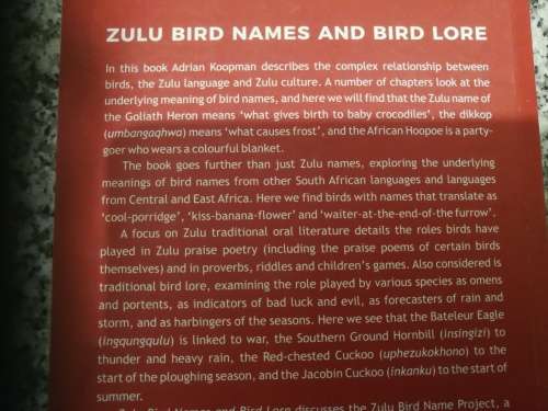 ZULU BIRD NAMES and BIRD LORE ADRIAN KOOPMAN ( Birding Birds  )