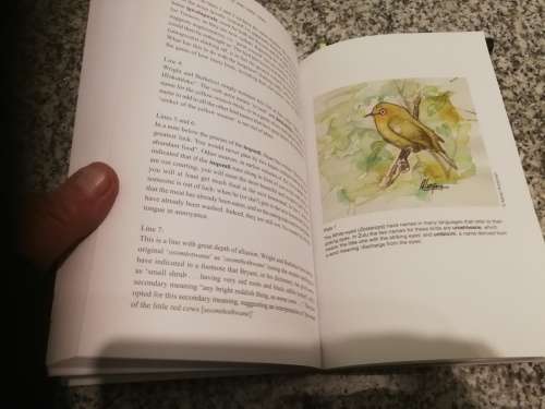 ZULU BIRD NAMES and BIRD LORE ADRIAN KOOPMAN ( Birding Birds  )