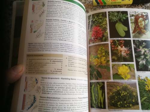 POOLEY`S TREES OF EASTERN SOUTH AFRICA A COMPLETE GUIDE RICHARD BOON