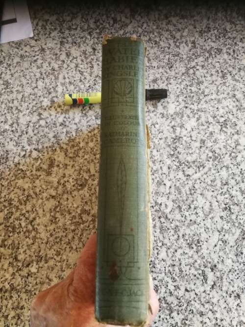 THE WATER BABIES by CHARLES KINGSLEY with coloured illustrations by Katherine Cameron  around 1919
