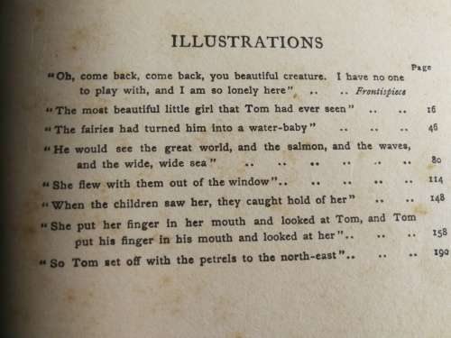 THE WATER BABIES by CHARLES KINGSLEY with coloured illustrations by Katherine Cameron  around 1919