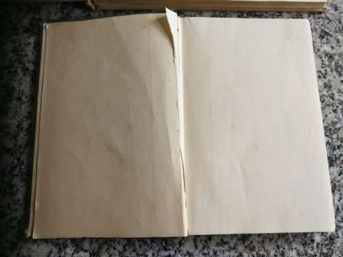 2 Books SELECTIONS From Travels in the Interior  of Southern Africa  William Burchell and WOODCUT V