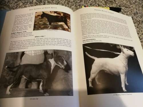 BULL TERRIERS OF SOUTH AFRICA 1860 - 1999 COLIN BOHLER ( Bull Terrier Terriers  Pedigree Showdogs  )
