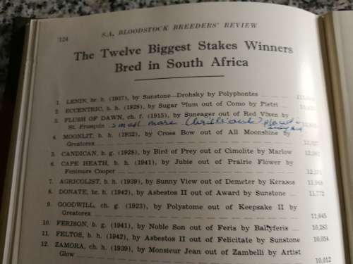 THE SOUTH AFRICAN BLOODSTOCK BREEDERS REVIEW Volume 111 j g FOURIE Horse Racing Breeding Horses