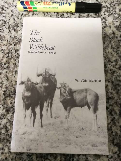 The Black Wildebeest ( Connochaetus gnou ) W VON RICHTER Orange Free State Prov Administration  1971