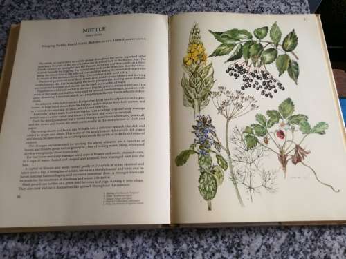 The MEDICINAL and CULINARY USES  of HERBS MARGARET ROBERTS BOOK of HERBS ( healing and cooking )