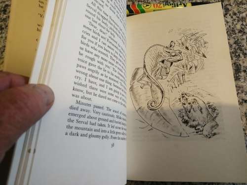 THE SINGING CHAMELEON by GERALDINE ELLIOT