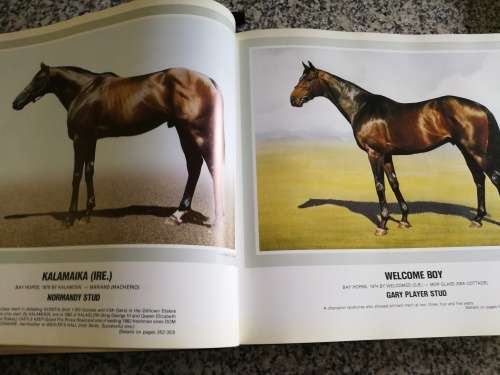 FORM STALLION REGISTER Volume II 1982 Editor , CHARLES FAULL Horse Racing Breeding Horses