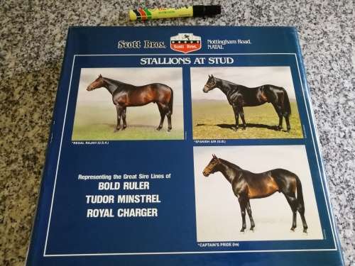 FORM STALLION REGISTER Volume II 1982 Editor , CHARLES FAULL Horse Racing Breeding Horses