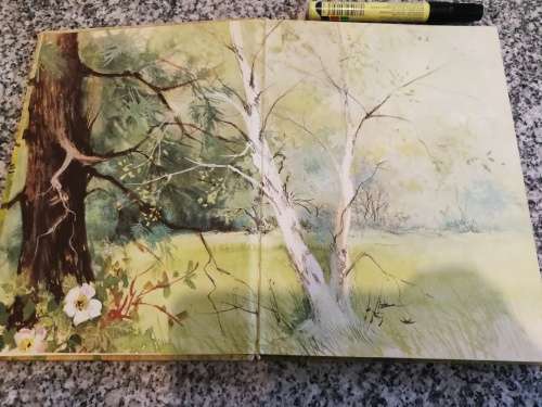 Reserved for Rene ADVENTURES IN THE LITTLE WOOD ANNE-MARIE DALMAIS