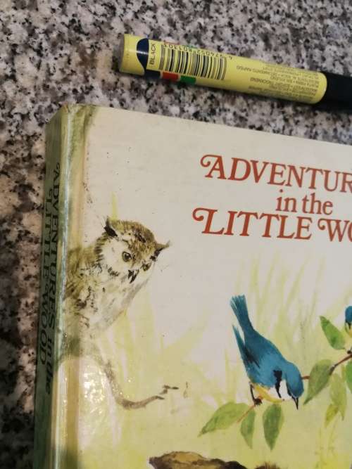 Reserved for Rene ADVENTURES IN THE LITTLE WOOD ANNE-MARIE DALMAIS