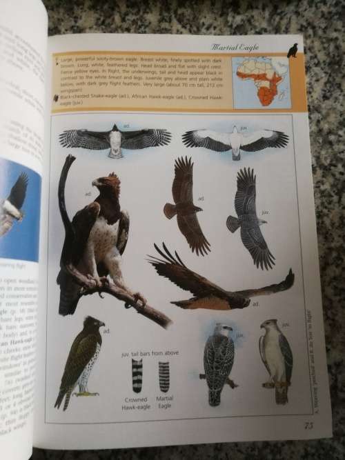 BIRDS OF PREY OF AFRICA AND ITS ISLANDS ALAN and MEG KEMP SASOL ( bird watching  eagles etc )