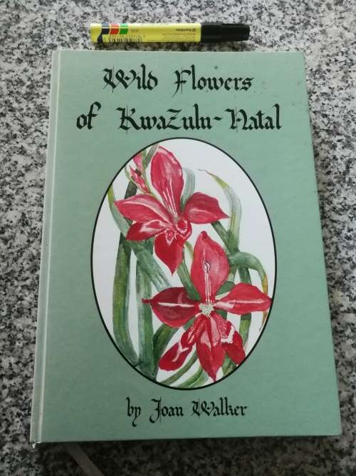 WILD FLOWERS OF KWAZULU NATAL JOAN WALKER 430 water colour paintings wild flowers mainly from Kloof
