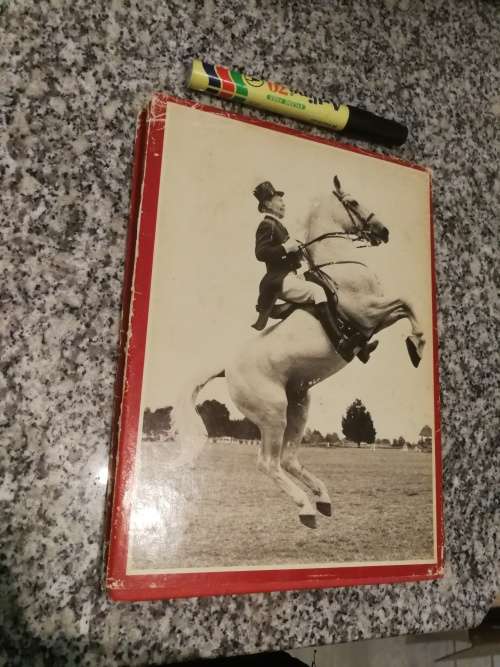 THE WHITE STALLIONS of KYALAMI GEORGE IWANOWSKI  (Lippizzana  Horses in South Africa )