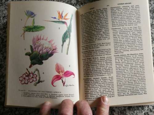 Encyclopaedia of Southern Africa by Eric Rosenthal 1964