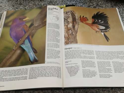 THE COMPLETE BOOK OF SOUTHERN AFRICAN BIRDS compiled by P J GINN ( Birding Bird watching  reduced