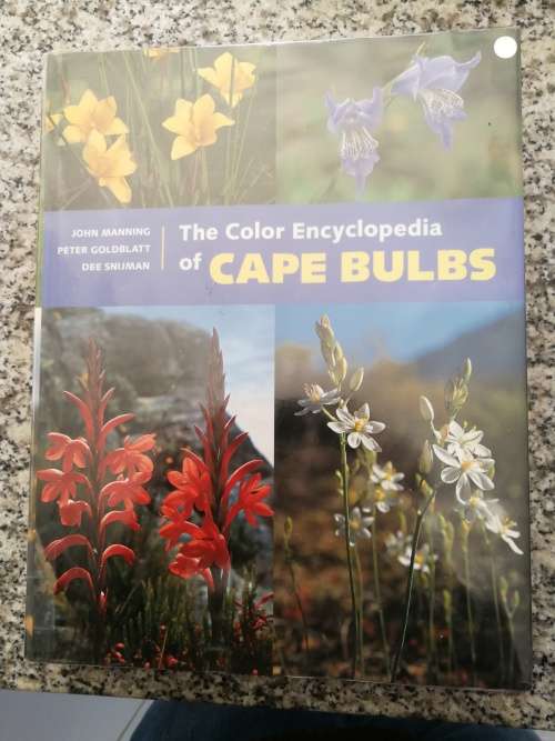 THE COLOR ENCYCLOPEDIA OF CAPE BULBS JOHN MANNING PETER GOLDBLATT DEE SNIJMAN (  plants )