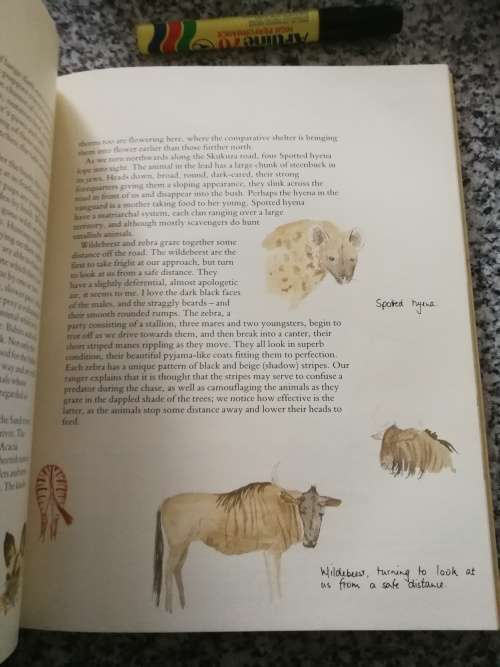 TO EVERYTHING ITS SEASON MALAMALA The Story of a Game Reserve Signed GILLIAN RATTRAY Mala Mala