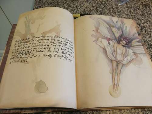 LADY COTTINGTON`S PRESSED FAIRY BOOK