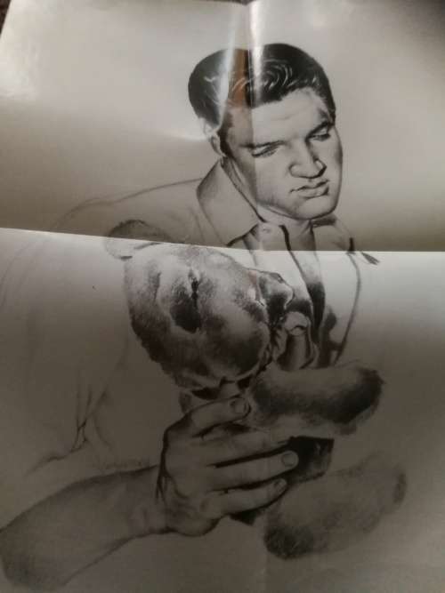 ELVIS PRESLEY SUDDENLY and GENTLY VISIONS OF ELVIS THROUGH THE ART OF BETTY HARPER ( drawings )