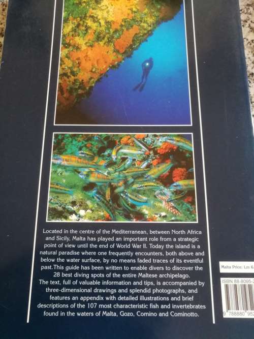 MALTESE ISLANDS DIVING GUIDE NED MIDDLETON  ( skindiving   scuba diving dive  )