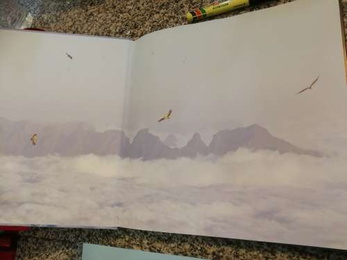 ENCOUNTERS WITH THE DRAGON JOHN HONE A Photographer`s Passion for the Drakensberg  ( Mountains )