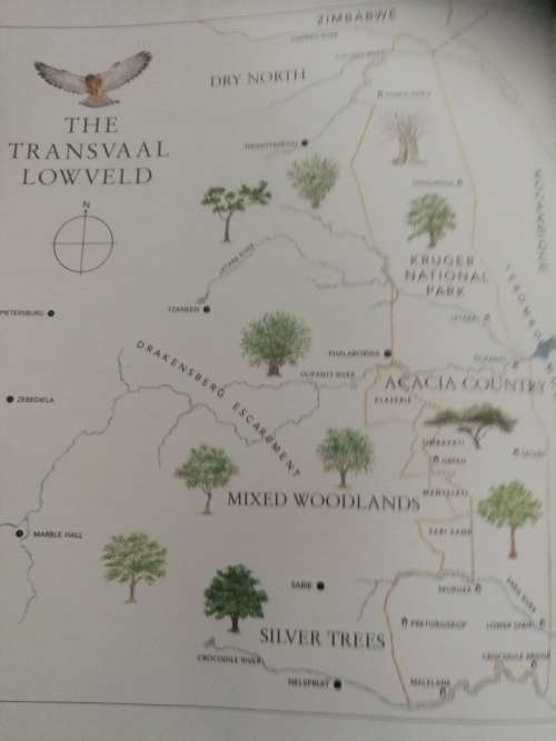 BUSHVELD TREES Lifeblood of the Transvaal Lowveld MALCOLM FUNSTON signed