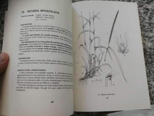 COMMON VELD AND PASTURE GRASSES OF NATAL N M TAINTON BRANSBY BOOYSEN (  farming grass