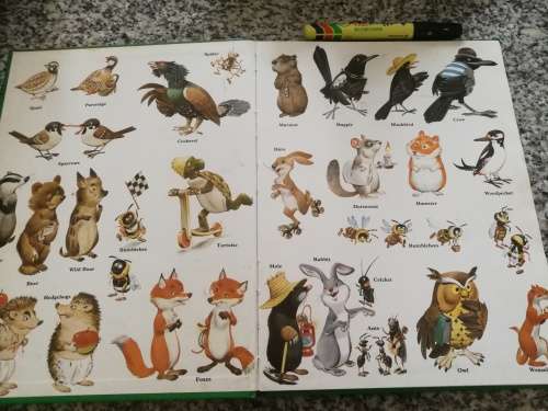 MEET THE WOODLAND FOLK TONY WOLF