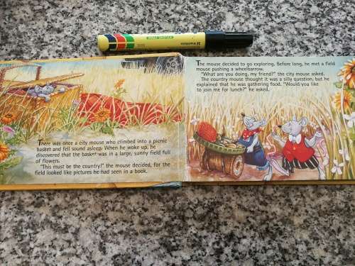THE COUNTRY MOUSE AND CITY MOUSE ( One of Aesop`s classic tales  children book stories )