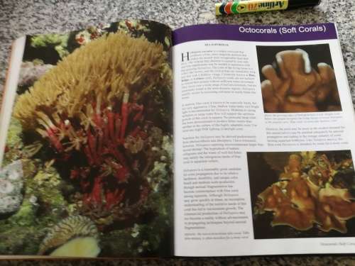 BOOK OF CORAL PROPAGATION Reef Gardening for Aquarists ANTHONY CALFO ( marine biology sea aquarium