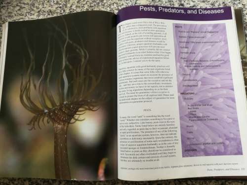 BOOK OF CORAL PROPAGATION Reef Gardening for Aquarists ANTHONY CALFO ( marine biology sea aquarium