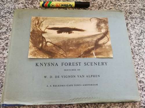 KNYSNA FOREST SCENERY SKETCHES by W D DE VIGNON VAN ALPHEN 1957 Garden Route Tsitsikama Eastern Cape