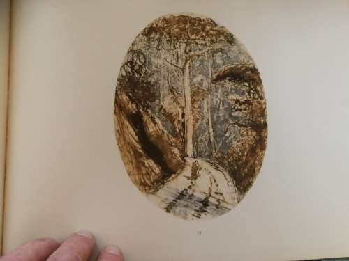 KNYSNA FOREST SCENERY SKETCHES by W D DE VIGNON VAN ALPHEN 1957 Garden Route Tsitsikama Eastern Cape