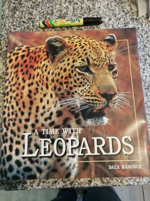 A TIME WITH LEOPARDS DALE HANCOCK  (African Wildlife  Mala Mala Game Reserve cats )