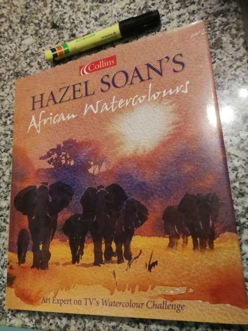 HAZEL SOAN`S AFRICAN WATERCOLOURS  Art Expert on TV`s Watercolour Challenge painting