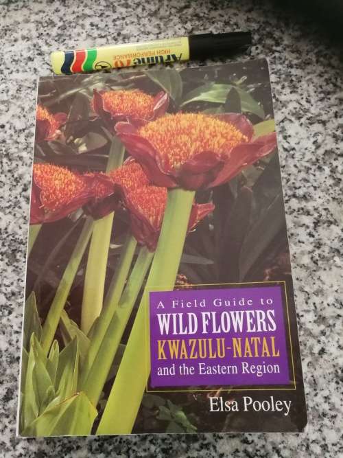 A FIELD GUIDE TO WILD FLOWERS KWAZULU NATAL and the Eastern Region by ELSA POOLEY  wildflowers