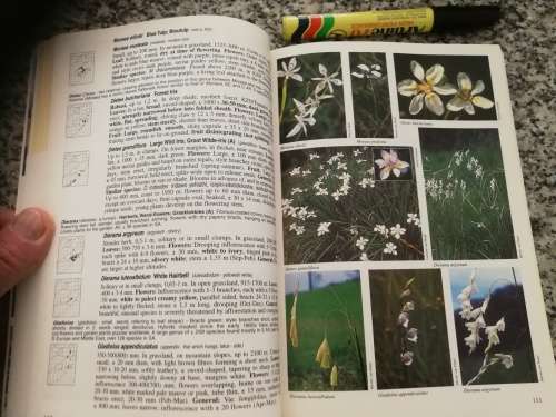 A FIELD GUIDE TO WILD FLOWERS KWAZULU NATAL and the Eastern Region by ELSA POOLEY  wildflowers