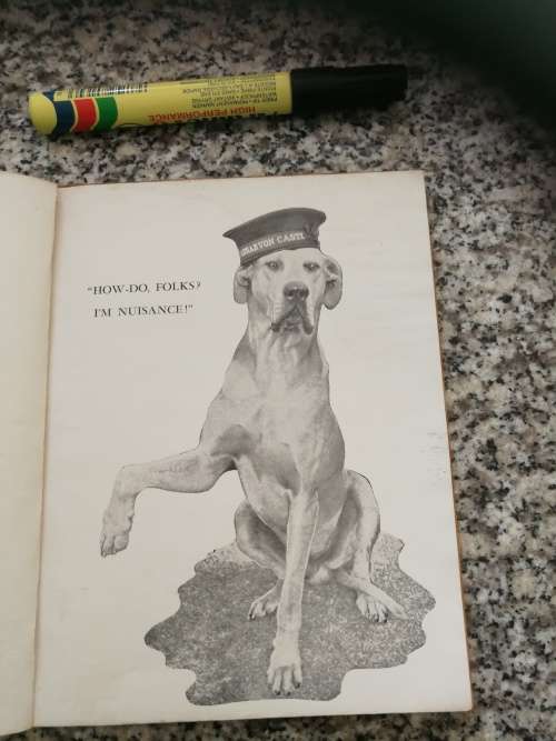 JUST NUISANCE LESLIE M STEYN  ( The Great Dane Dog at Simonstown Naval Base pub. around 1943