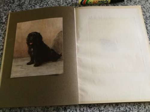 MEMORIES  by JOHN GALSWORTHY Illustrated MAUD EARL WILLIAM HEINEMANN  1926
