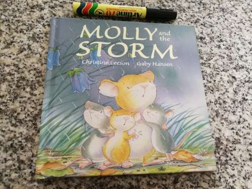 MOLLY AND THE STORM CHRISTINE LEESON GABY HANSEN