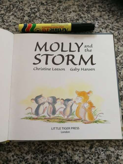 MOLLY AND THE STORM CHRISTINE LEESON GABY HANSEN